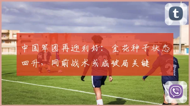中国军团再迎利好：金花种子状态回升，网前战术或成破局关键