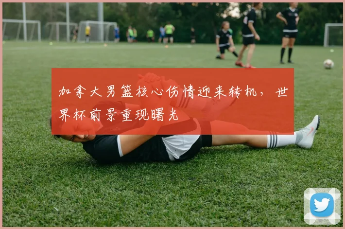加拿大男篮核心伤情迎来转机，世界杯前景重现曙光
